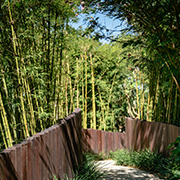 THE PHILOSOPHER'S TRAIL